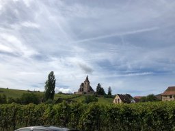 img_7850