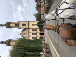 img_7923
