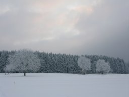 img_0854